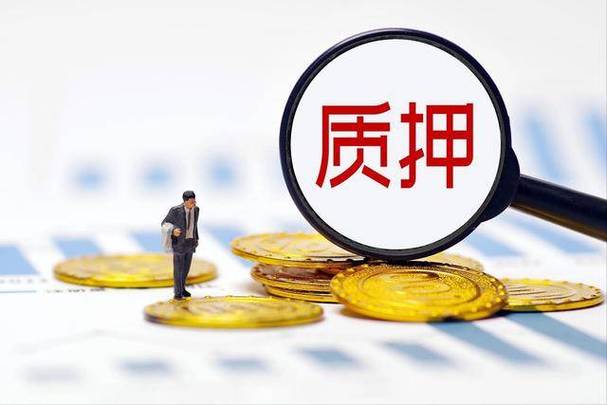 可质押是什么意思