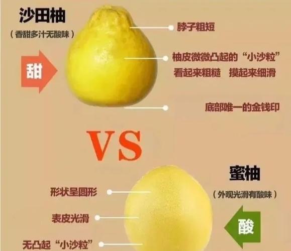 青柚和黄柚的区别