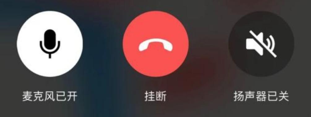 语音通话麦克风已关截图2
