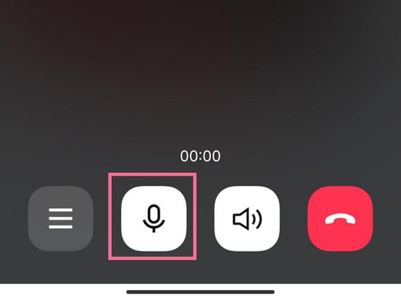 语音通话麦克风已关截图3