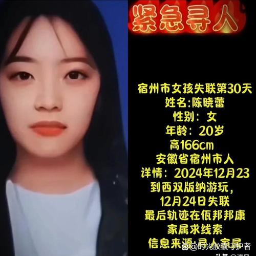 少女失踪案 少女失踪案