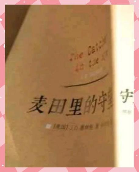 麦田里阅读答案