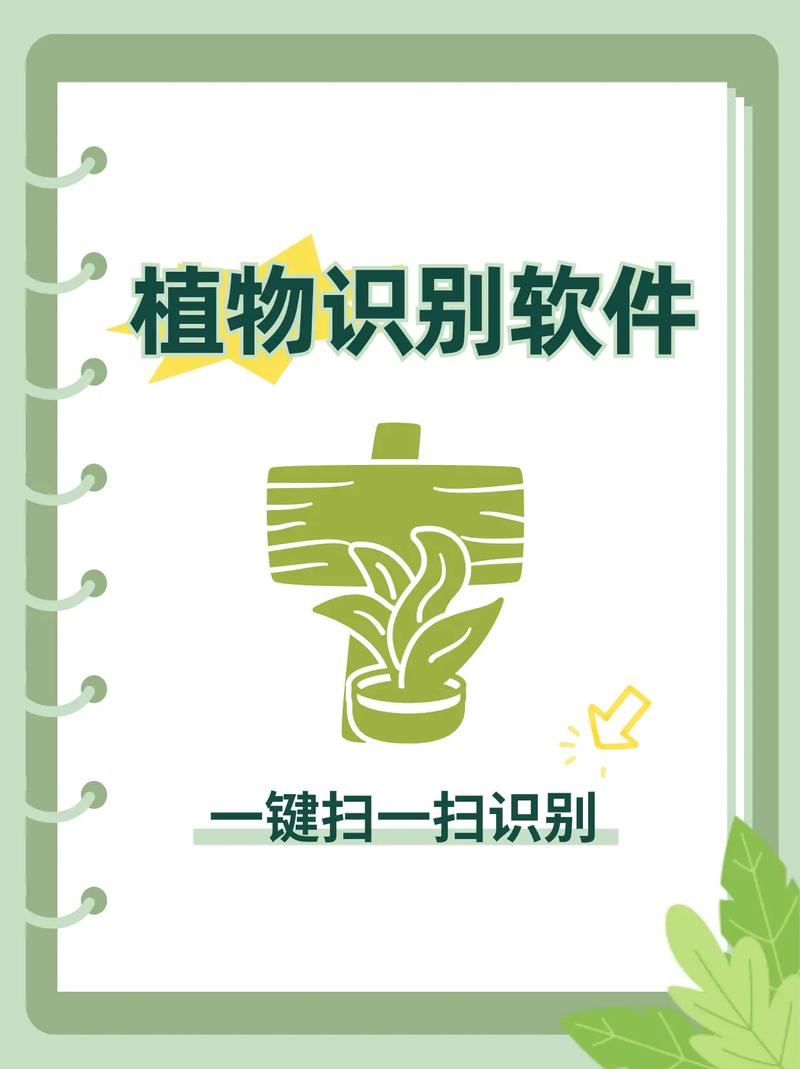 植树扫盘app截图2