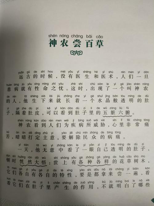 叶一笑山村小神农完整版