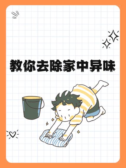 如何去除房间里的霉味
