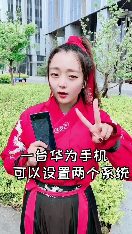 一个手机两套系统