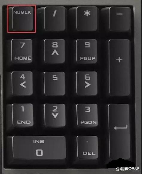 电脑键盘打不出字母只能打出数字