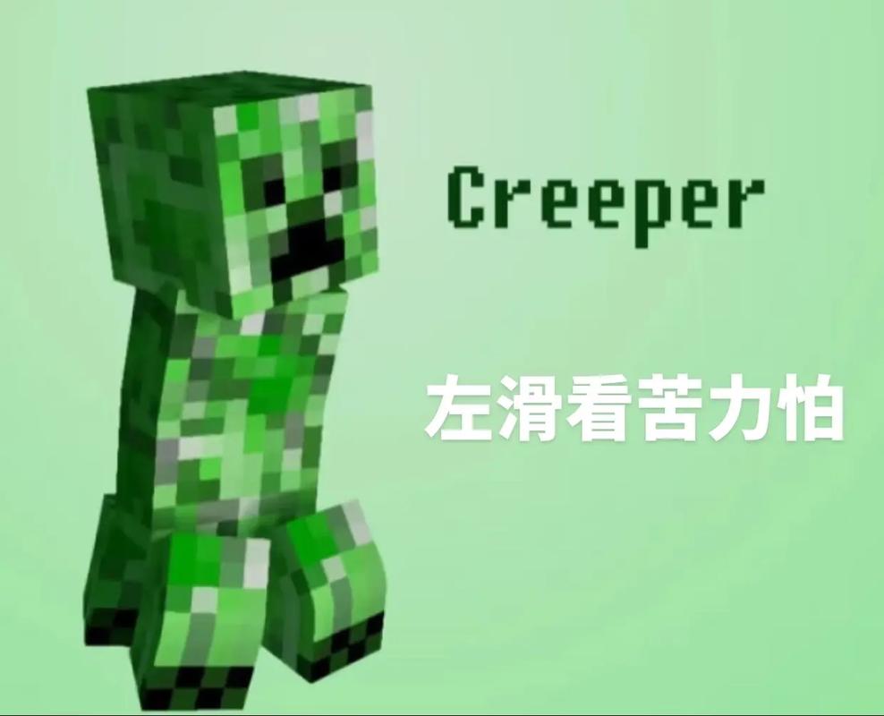 我的世界苦小帕截图2