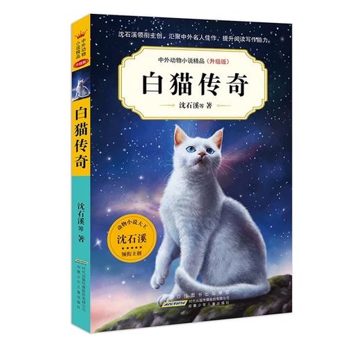 白猫小说正版截图1