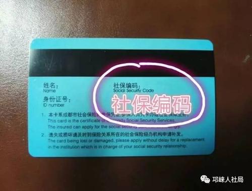 社保个人编号是什么