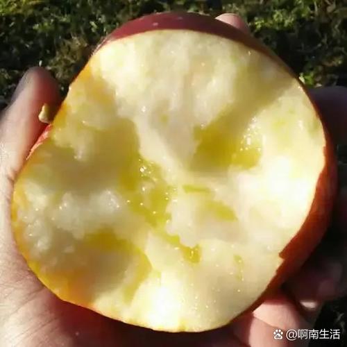 那为什么小奇迹可以吃整个苹果为什