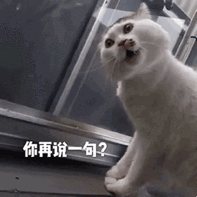 表情包意思图片大全 可爱 呆萌