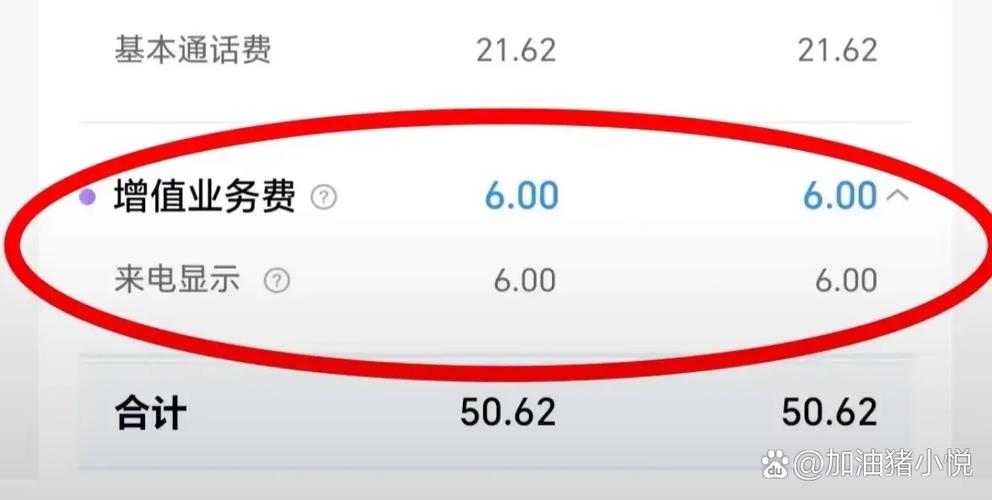 来电显示6元一月可以取消吗