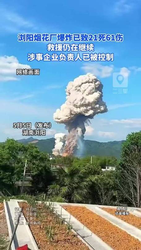 浏阳烟花厂爆炸21死61伤