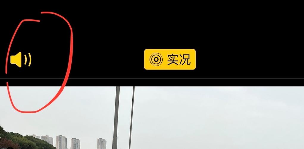 实况没有声音