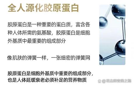 三型胶原蛋白导入