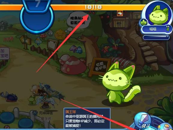 洛克王国喵喵在哪里怎么抓?