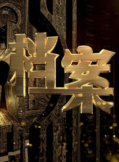 历史档案大揭秘视频