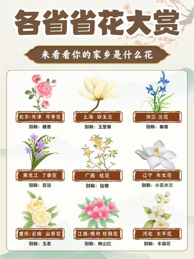 省点花正式版