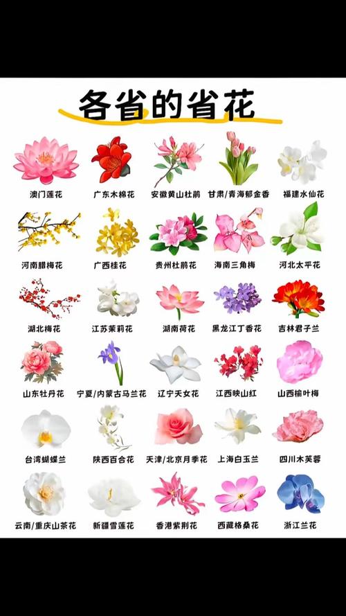 省点花正式版截图2