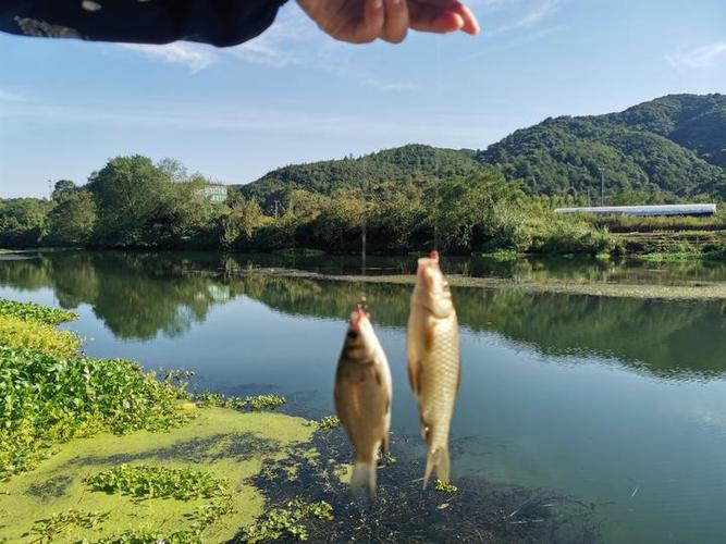 梦到涨水钓到两条鱼