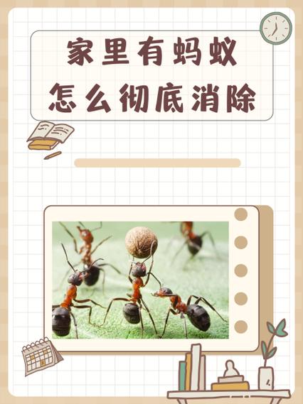 插座里有蚂蚁怎么处理截图2