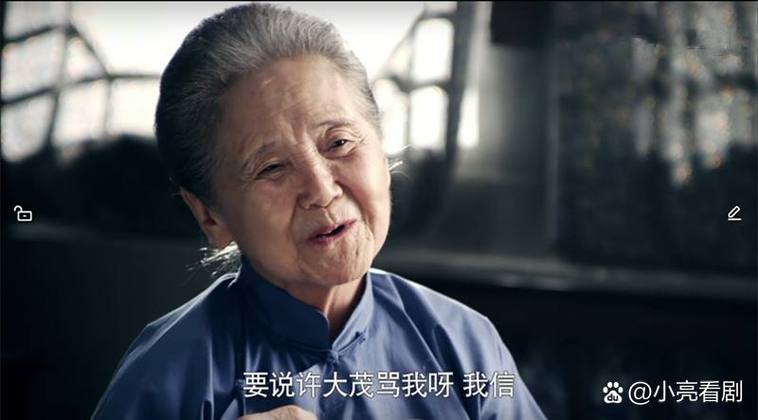 完美的老奶奶免费高清电视剧
