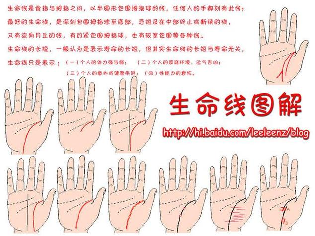 手掌指纹线各代表什么截图3