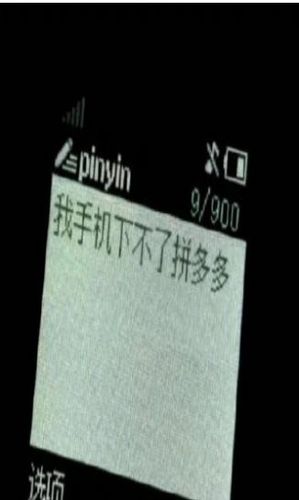 拼多多苹果下不了