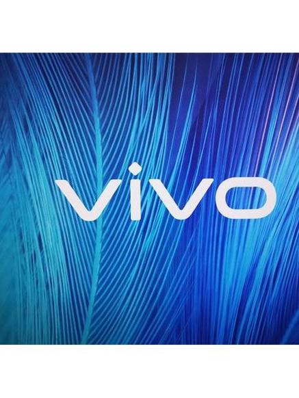 vivo免费字体推荐