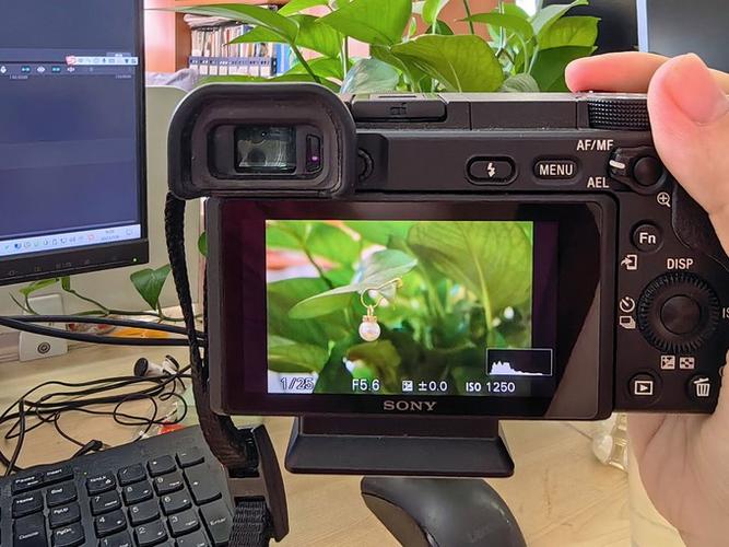 sony相机绿色点拍不了