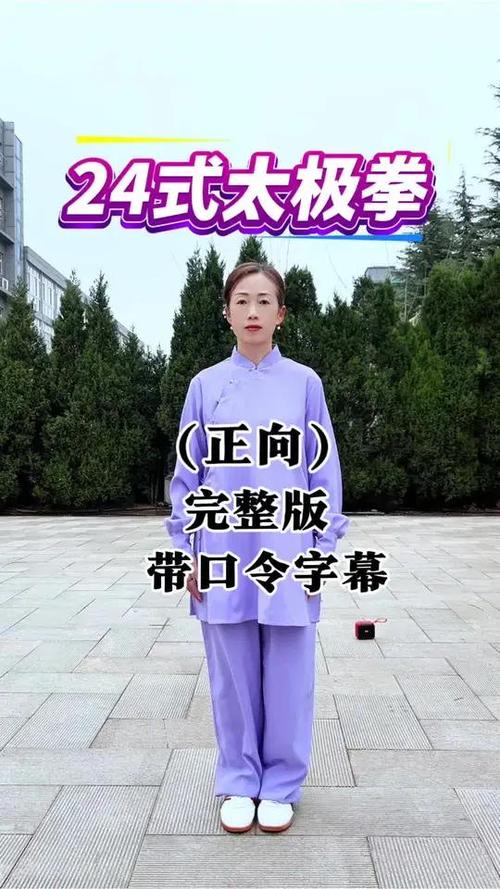 太极拳24式口令完整版