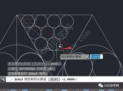 cad怎么能随意缩放大小