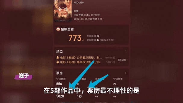 猫眼实时动态票房