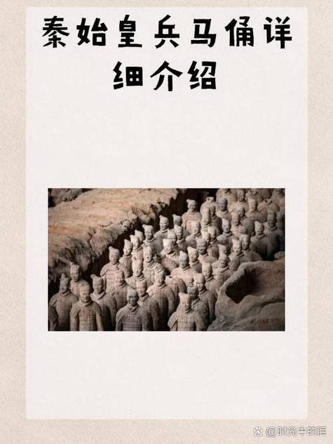 秦始皇陵兵马俑的简介截图2