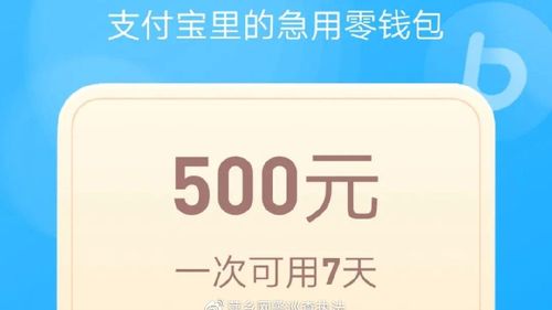 1000备用金14天