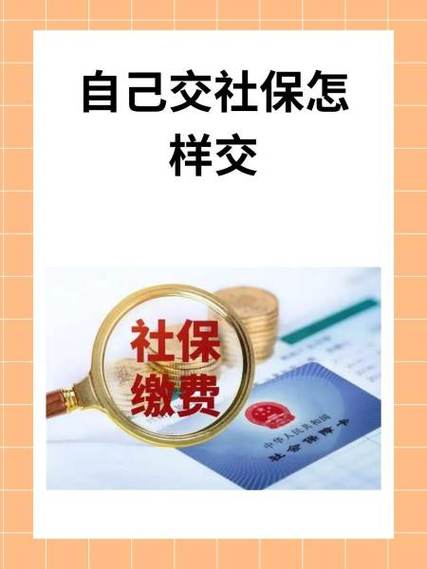 自己怎么交社保截图2