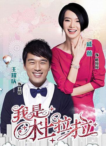 我是杜拉拉合集