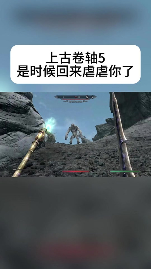 上古卷轴5对话选项没了