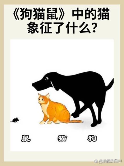 狗·猫 鼠