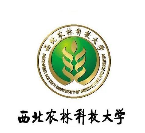 西北农林科技大学教务处网页版
