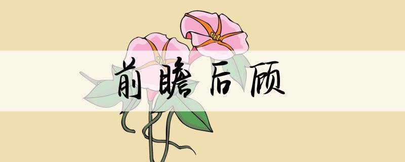 形容前瞻的成语