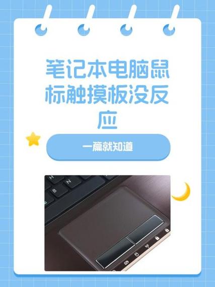 红米笔记本触摸板鼠标没有了