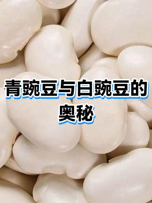 白豌豆和绿豌豆哪个营养好些