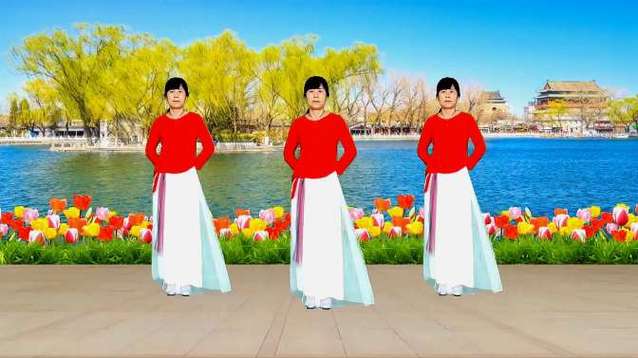 糖豆广场舞app下载安装视频截图3