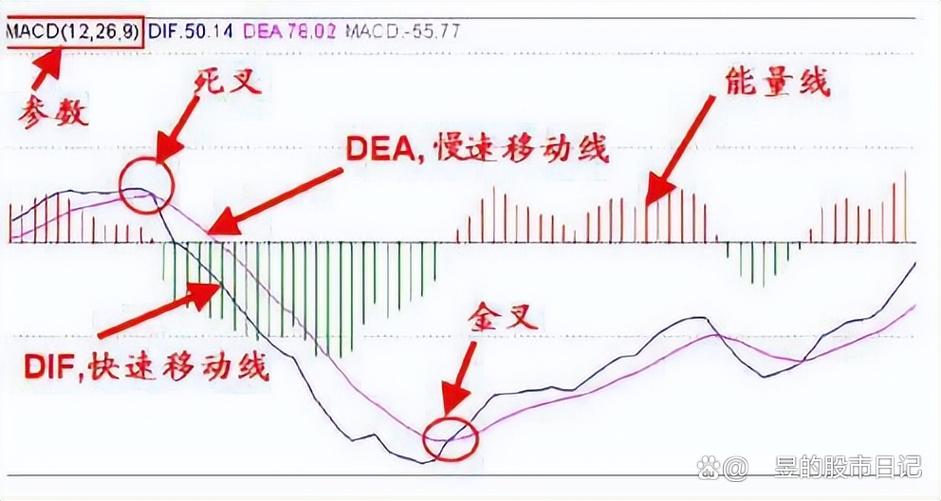 怎么看macd线图图解