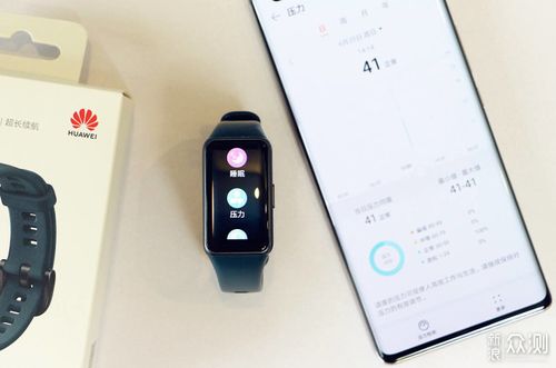 华为手环6有什么用
