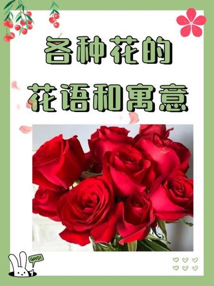 花的寓意 花语爱情截图2