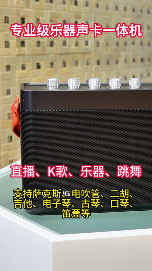 二胡音响全套