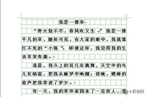 变形记作文熊出没